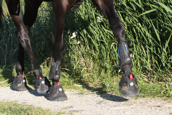1f) Equine Fusion Trekking (styck) - Bild 2