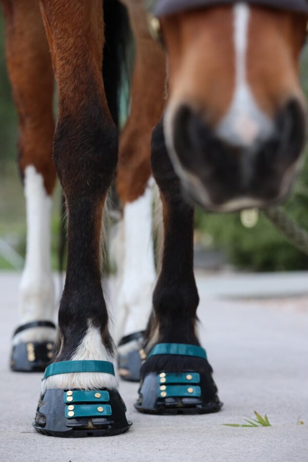 3g) Scootboots Pastern Straps - styckvis - Bild 4