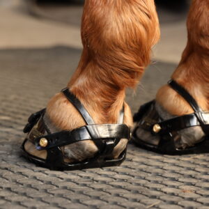 1d) Scootboots Adjust (styck)