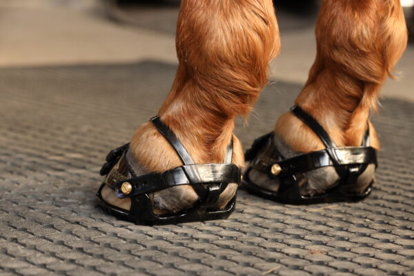 1d) Scootboots Adjust (styck)