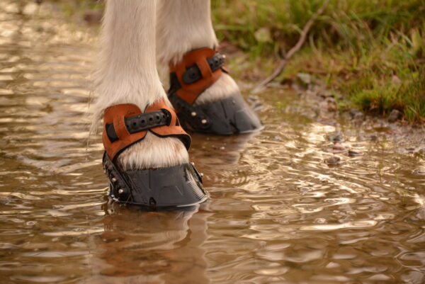 1b) Flex Hoof Boots (styck) - Bild 2