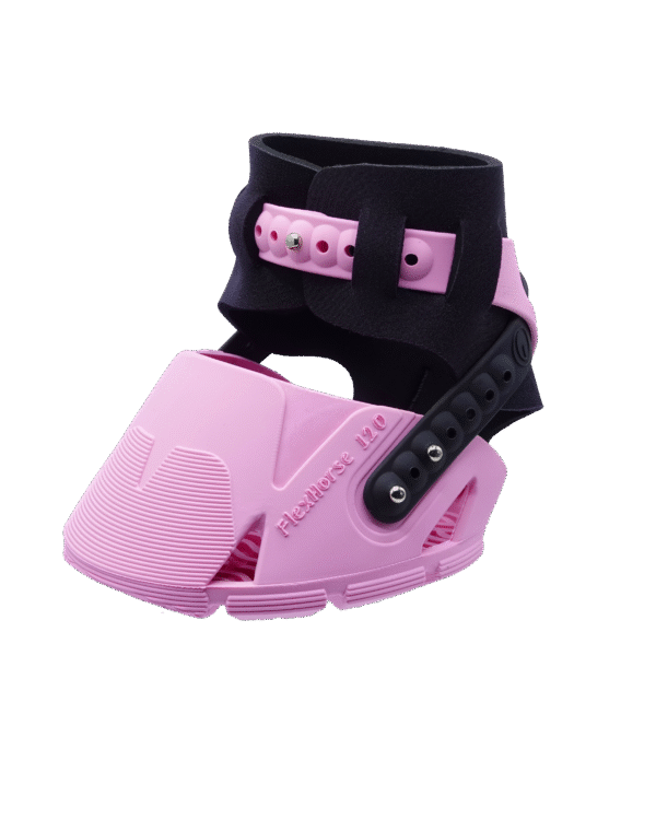 Flex Hoof Boots Limited Edition - Rosa/Turkos - Bild 3
