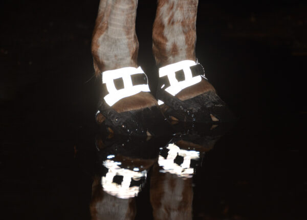 Flex Neoprene Gaiters - Reflex
