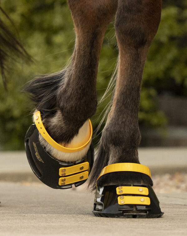 3g) Scootboots Pastern Straps - styckvis - Bild 8