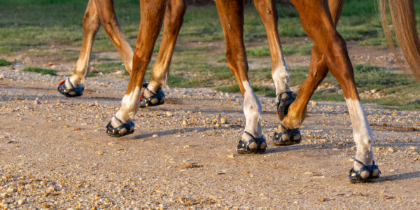 1d) Scootboots Adjust (styck) - Bild 6