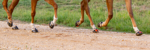 1d) Scootboots Adjust (styck) - Bild 7
