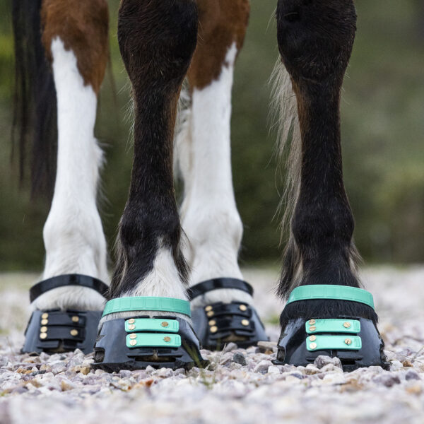 3g) Scootboots Pastern Straps - styckvis - Bild 7