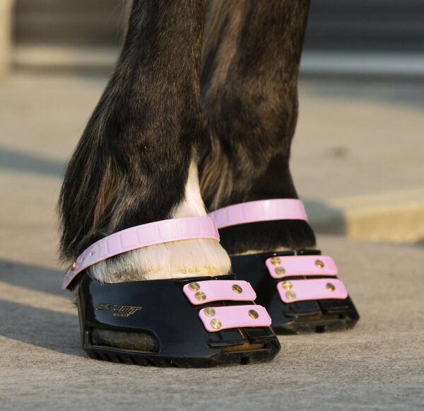 3g) Scootboots Pastern Straps - styckvis - Bild 2