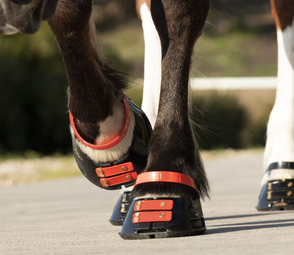 3g) Scootboots Pastern Straps - styckvis - Bild 6