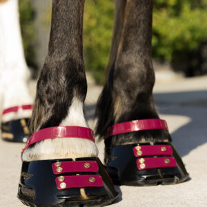 1c) Scootboots Classic (styck)