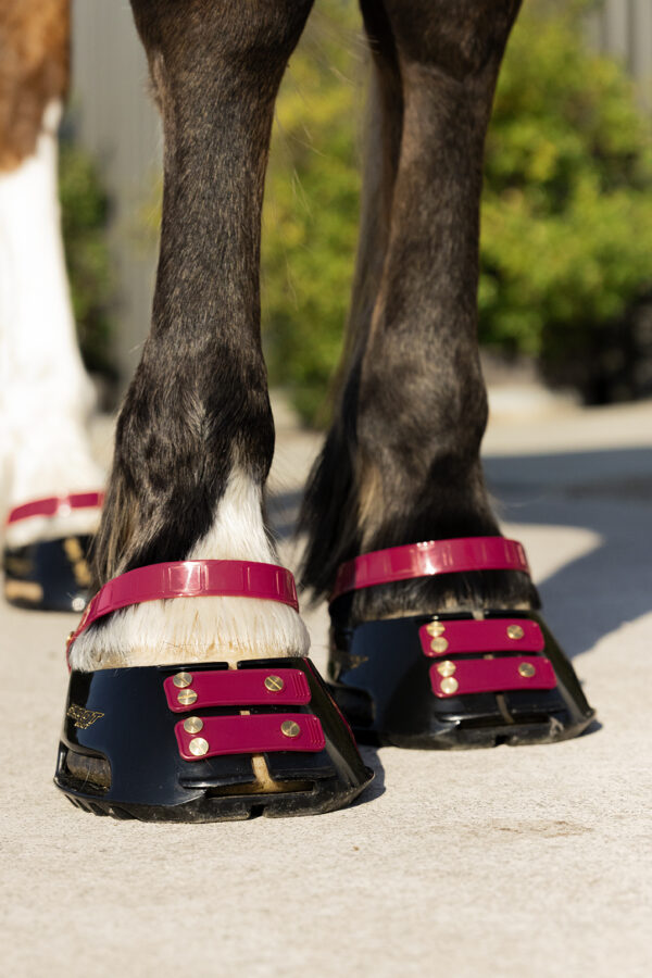 1c) Scootboots Classic (styck)
